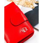 Portfel, czerwony, skórzany, Rovicky