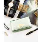 Portfel, jasnozielony, Peterson