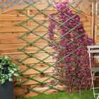 ProGarden, podpora do roślin, zielona, rozkładana, 200-100 cm