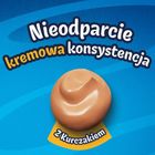 Purina, Felix, Deli Moments, kurczak, przysmak dla kota, 4-10g