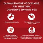 Purina, One, Adult, Beef & Rice, karma sucha dla psów ras średnich i dużych, 12 kg