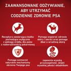 Purina, One, Adult, Monoprotein Turkey, karma sucha dla psów ras średnich i dużych, 2,5 kg