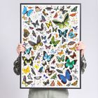 Puzzlove, CzuCzu, Motyle, puzzle, 1000 elementów