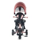 Qplay, Elite Platinum, rowerek 3-kołowy, Pink