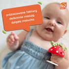RazBaby, Chompy, gryzak z przyssawką, czerwony