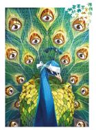 Rebel, Dixit: Point of View, puzzle, 1000 elementów