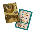 Rebel, Everdell Duo, gra strategiczna