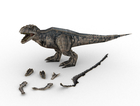 Revell, Jurassic World Rebirth, Giganotosaurus, puzzle 3D