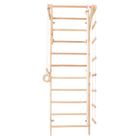 Rinagym, drewniana drabinka gimnastyczna, naturalny