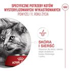 Royal Canin, Ageing 11+, sucha karma dla kota, 4 kg