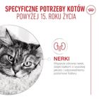 Royal Canin, FHN, Ageing 15+, sucha karma dla kota, 2 kg