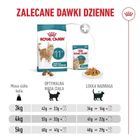 Royal Canin, FHN Cat Ageing 11+, karma sucha dla kotów, 2 kg
