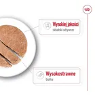 Royal Canin, SHN Maxi Adult Loaf, 410g