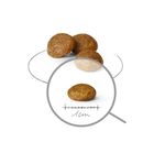 Royal Canin, SHN Xsmall Adult 3kg