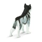 Safari Ltd, figurka, pies husky syberyjski