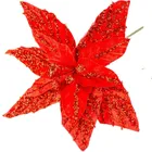 Saska Gift, gwiazda betlejemska, 30 cm