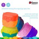 Sassy, Magnetyczni kumple, sowy, klocki sensoryczne, 4 elementy