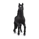 Schleich, Horse Club, Ogier rasy Lusitano, figurka, 14918