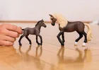 Schleich, Horse Club, Ogier rasy Paso Peruano, figurka, 13952