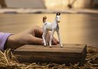 Schleich, Horse Club, Źrebak Marwari, figurka, 14896