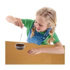 SES Creative, Ogródek na drzewie, zestaw kreatywny