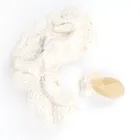 Smiki, Szkielet T-Rex, wykopaliska, zestaw naukowy