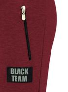 Spodnie dresowe chłopięce, bordowe, Tup Tup