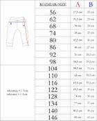 Spodnie dresowe chłopięce, szare, Nicol