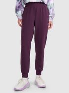 Spodnie dresowe damskie, bordowe, 4F