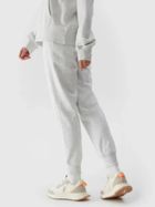 Spodnie dresowe damskie, szare, 4F