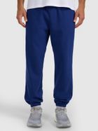 Spodnie dresowe męskie, granatowe, 4F