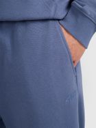 Spodnie dresowe męskie, niebieskie, 4F