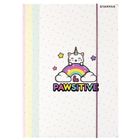 Starpak, teczka z gumką A4, Catcorn, 1 szt.