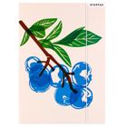 Starpak, teczka z gumką, A4, Fruits, 1 szt.