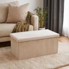 Storage Solutions, Modus, welurowa pufa ze schowkiem, 76-38-38 cm