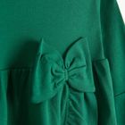 Sukienka dziewczęca z długim rękawem, zielona, Nicol