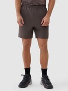 Szorty męskie, brązowe, 4F