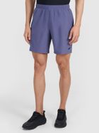 Szorty męskie, niebieskie, 4F