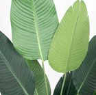 Sztuczna roślina dekoracyjna, 120 cm