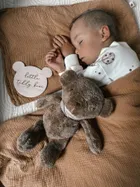 Szumisie, Miś dla starszaków, maskotka z mechanizmem szumiącym 5w1, brązowy, 36 cm