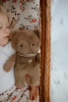 Szumisie, Szumiś Miś, maskotka szumiąca z mechanizmem 5w1, brązowy, 27 cm