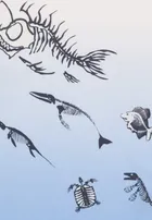 T-shirt chłopięcy, niebieski, Tom Tailor