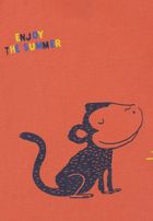 T-shirt chłopięcy, pomarańczowy, Tom Tailor