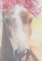 T-shirt dziewczęcy, mix, Tom Tailor