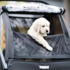 Thule, Courier Dog Trailer Kit, zestaw do przyczepki dla psa