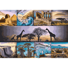 Trefl, Kolaż, Afryka, puzzle, 1000 elementów