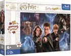 Trefl, Magiczny śwat Harrego Pottera, puzzle XL, 160 elementów