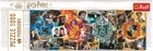 Trefl, Panorama - Cztery domu Hogwartu, puzzle, 1000 elementów