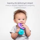 Ubbi, piramidka i gryzak, 2w1