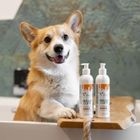 Vetexpert, Detox Care Vitalizing, odżywka do sierści, 150 ml